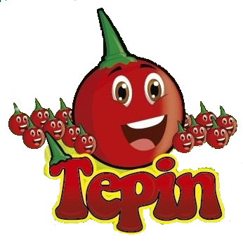 logosalsatepin
